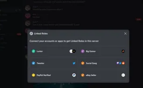 Discord依靠关联帐户来验证你是谁以及你可以访问什么