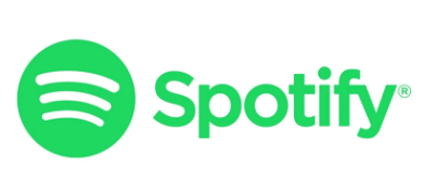 Spotify在GoogleNestHub上推出实时歌词