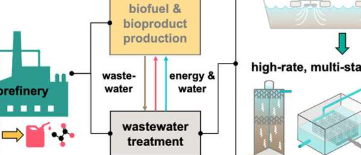 废水转化为能源新的处理工艺可以提高生物精炼厂的可持续性