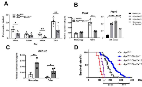 研究揭示了Dectin1在促进结直肠癌中的病理生理作用