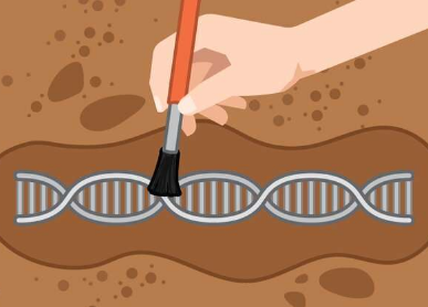 科学家利用遗传学挖掘肿瘤的过去