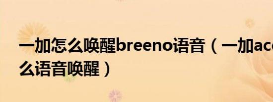 一加怎么唤醒breeno语音（一加ace pro怎么语音唤醒）