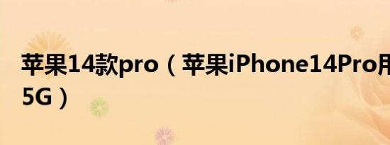 苹果14款pro（苹果iPhone14Pro用4G还是5G）