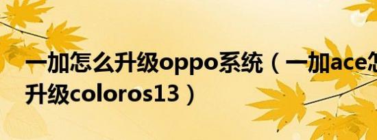 一加怎么升级oppo系统（一加ace怎么申请升级coloros13）