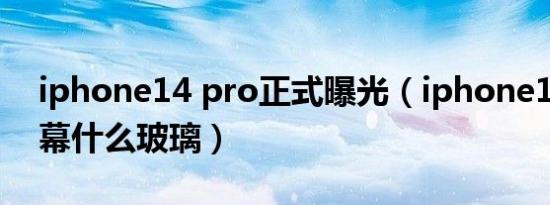 iphone14 pro正式曝光（iphone14pro屏幕什么玻璃）