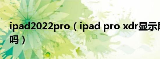 ipad2022pro（ipad pro xdr显示屏值得买吗）