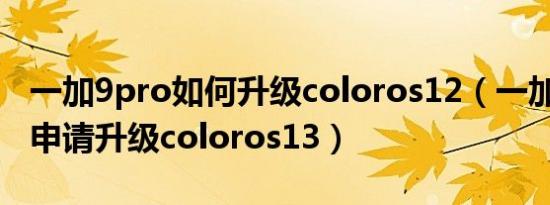 一加9pro如何升级coloros12（一加9rt怎么申请升级coloros13）