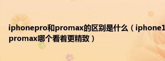 iphonepro和promax的区别是什么（iphone14pro和14promax哪个看着更精致）