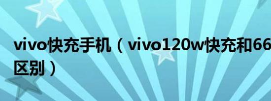 vivo快充手机（vivo120w快充和66w有什么区别）