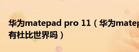 华为matepad pro 11（华为matepad pro有杜比世界吗）