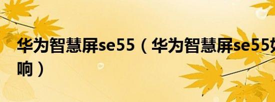 华为智慧屏se55（华为智慧屏se55如何接音响）