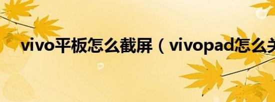 vivo平板怎么截屏（vivopad怎么关机）