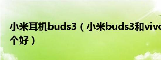 小米耳机buds3（小米buds3和vivotws2哪个好）