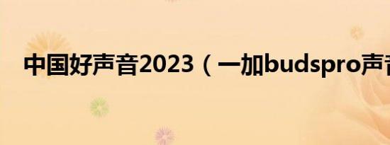 中国好声音2023（一加budspro声音小）