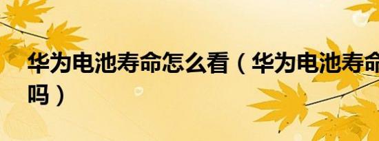 华为电池寿命怎么看（华为电池寿命98正常吗）