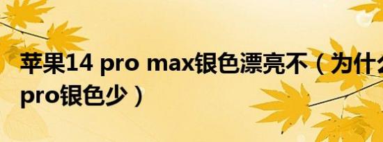 苹果14 pro max银色漂亮不（为什么苹果14pro银色少）