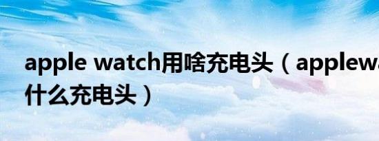 apple watch用啥充电头（applewatch8用什么充电头）