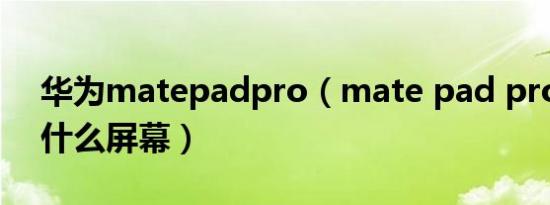 华为matepadpro（mate pad pro10.8是什么屏幕）