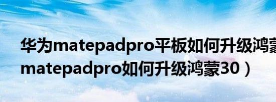 华为matepadpro平板如何升级鸿蒙（华为matepadpro如何升级鸿蒙30）