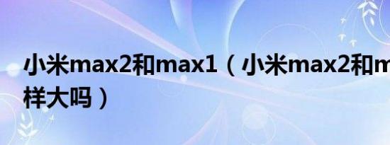 小米max2和max1（小米max2和mde40一样大吗）