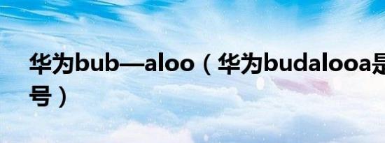 华为bub—aloo（华为budalooa是什么型号）