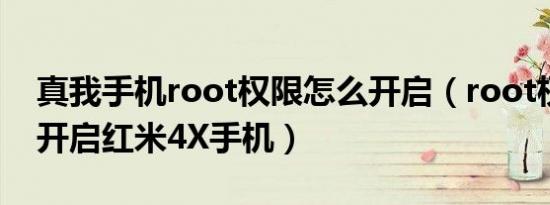 真我手机root权限怎么开启（root权限怎么开启红米4X手机）