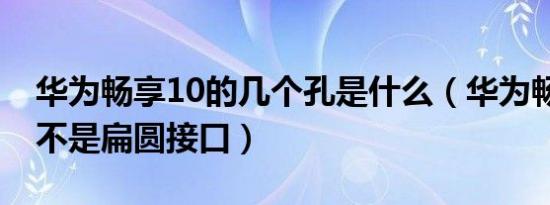 华为畅享10的几个孔是什么（华为畅享10是不是扁圆接口）