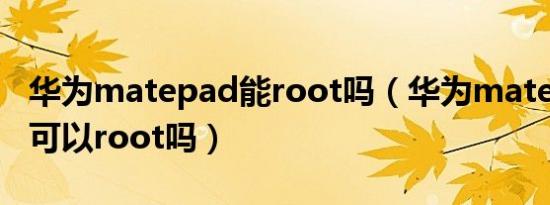 华为matepad能root吗（华为matepadpro可以root吗）