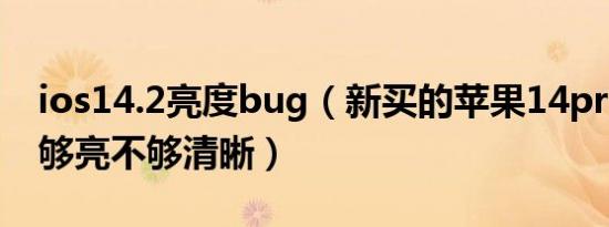 ios14.2亮度bug（新买的苹果14pro亮度不够亮不够清晰）