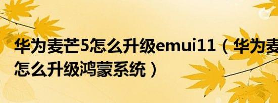 华为麦芒5怎么升级emui11（华为麦芒5手机怎么升级鸿蒙系统）