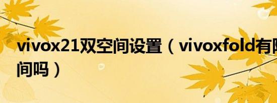 vivox21双空间设置（vivoxfold有隐私双空间吗）