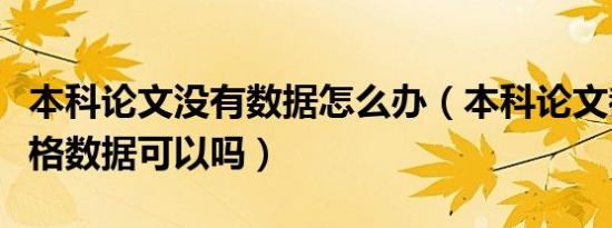 本科论文没有数据怎么办（本科论文都没有表格数据可以吗）