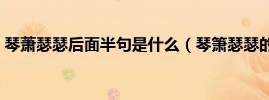 琴萧瑟瑟后面半句是什么（琴箫瑟瑟的意思）