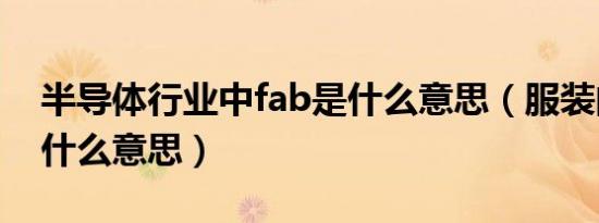 半导体行业中fab是什么意思（服装的fab是什么意思）