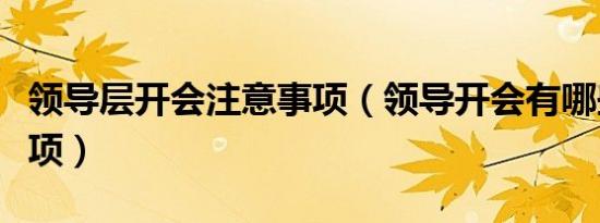 领导层开会注意事项（领导开会有哪些注意事项）