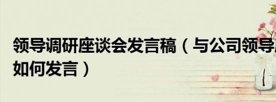 领导调研座谈会发言稿（与公司领导座谈时应如何发言）