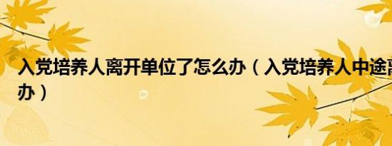 入党培养人离开单位了怎么办（入党培养人中途离职了怎么办）