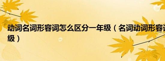 动词名词形容词怎么区分一年级（名词动词形容词区分一年级）