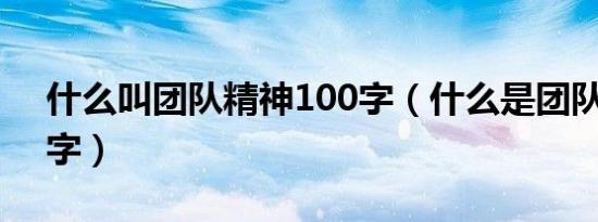 什么叫团队精神100字（什么是团队精神30字）