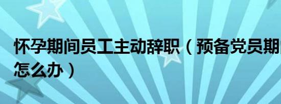 怀孕期间员工主动辞职（预备党员期间辞职了怎么办）