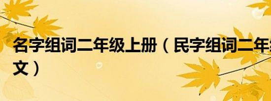 名字组词二年级上册（民字组词二年级上册语文）