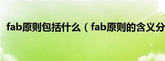 fab原则包括什么（fab原则的含义分别是）