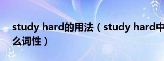 study hard的用法（study hard中hard什么词性）