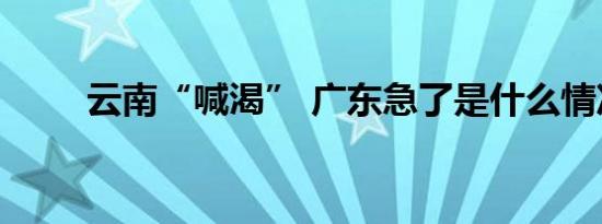 云南“喊渴” 广东急了是什么情况