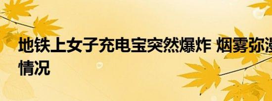 地铁上女子充电宝突然爆炸 烟雾弥漫是什么情况