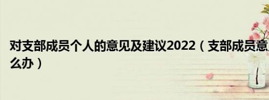 对支部成员个人的意见及建议2022（支部成员意见不统一怎么办）