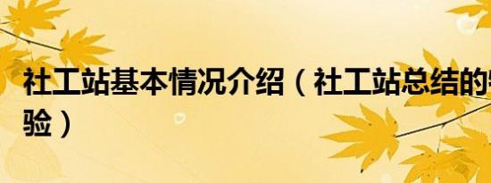 社工站基本情况介绍（社工站总结的特色和经验）