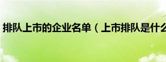 排队上市的企业名单（上市排队是什么意思）