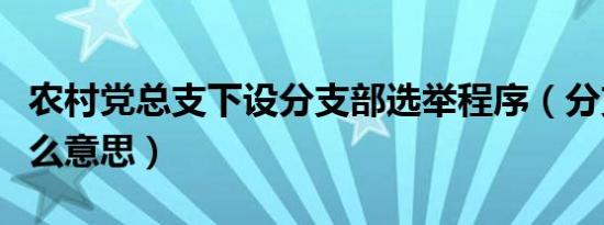 农村党总支下设分支部选举程序（分支部是什么意思）