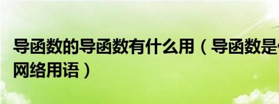 导函数的导函数有什么用（导函数是什么意思网络用语）